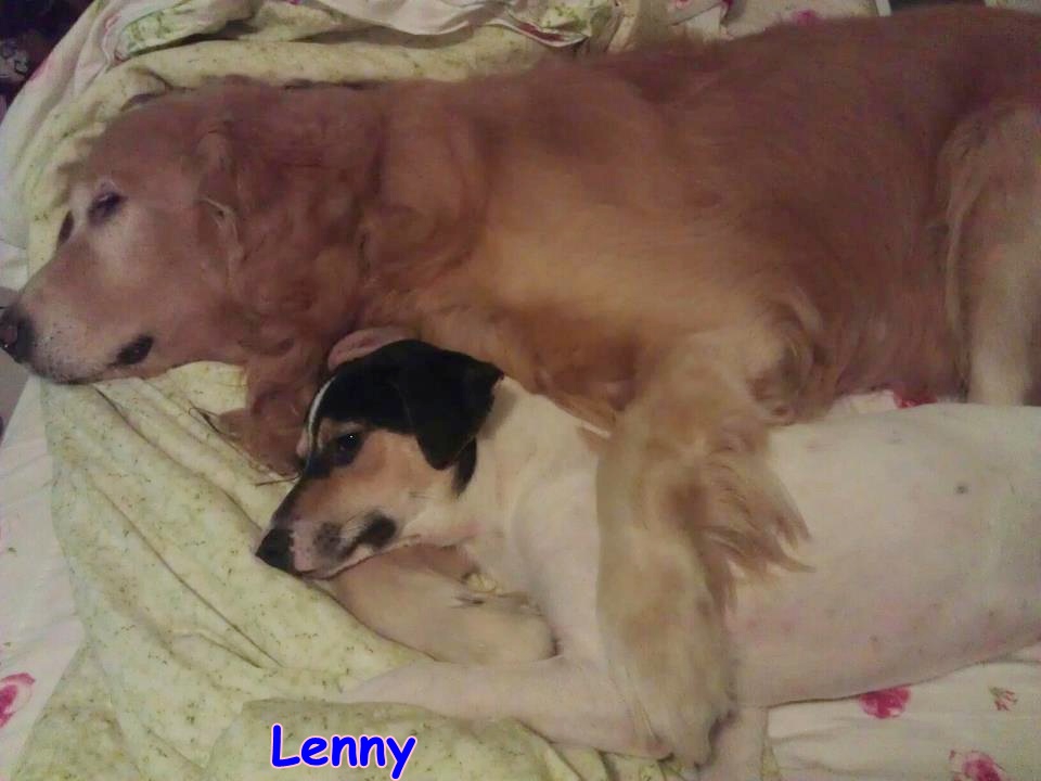 Lenny slept with big buddy