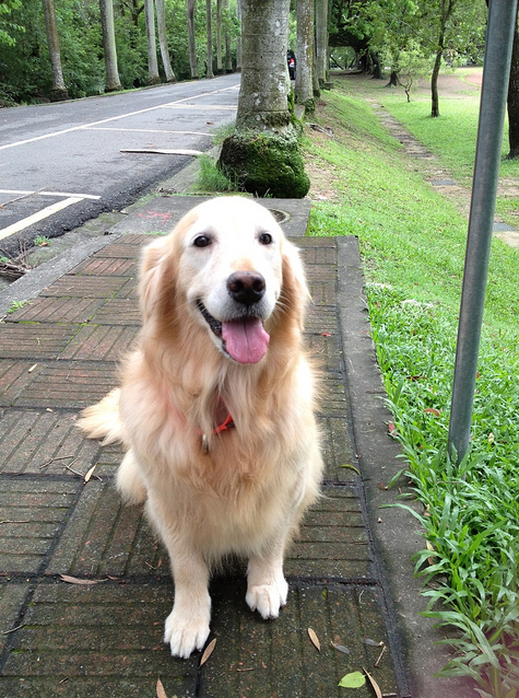 happy girl bonnie