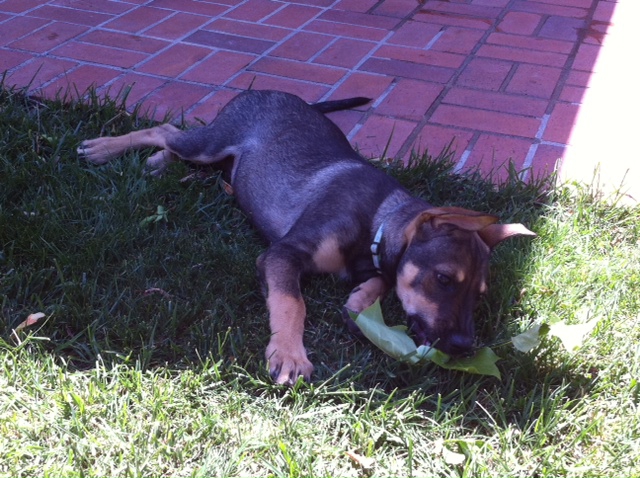 photo (1)