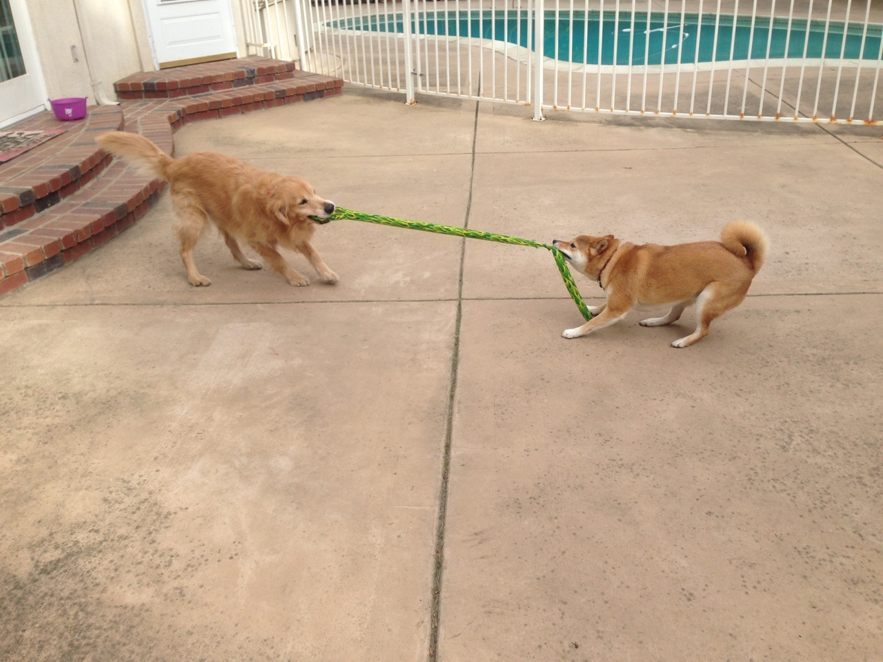 image-7