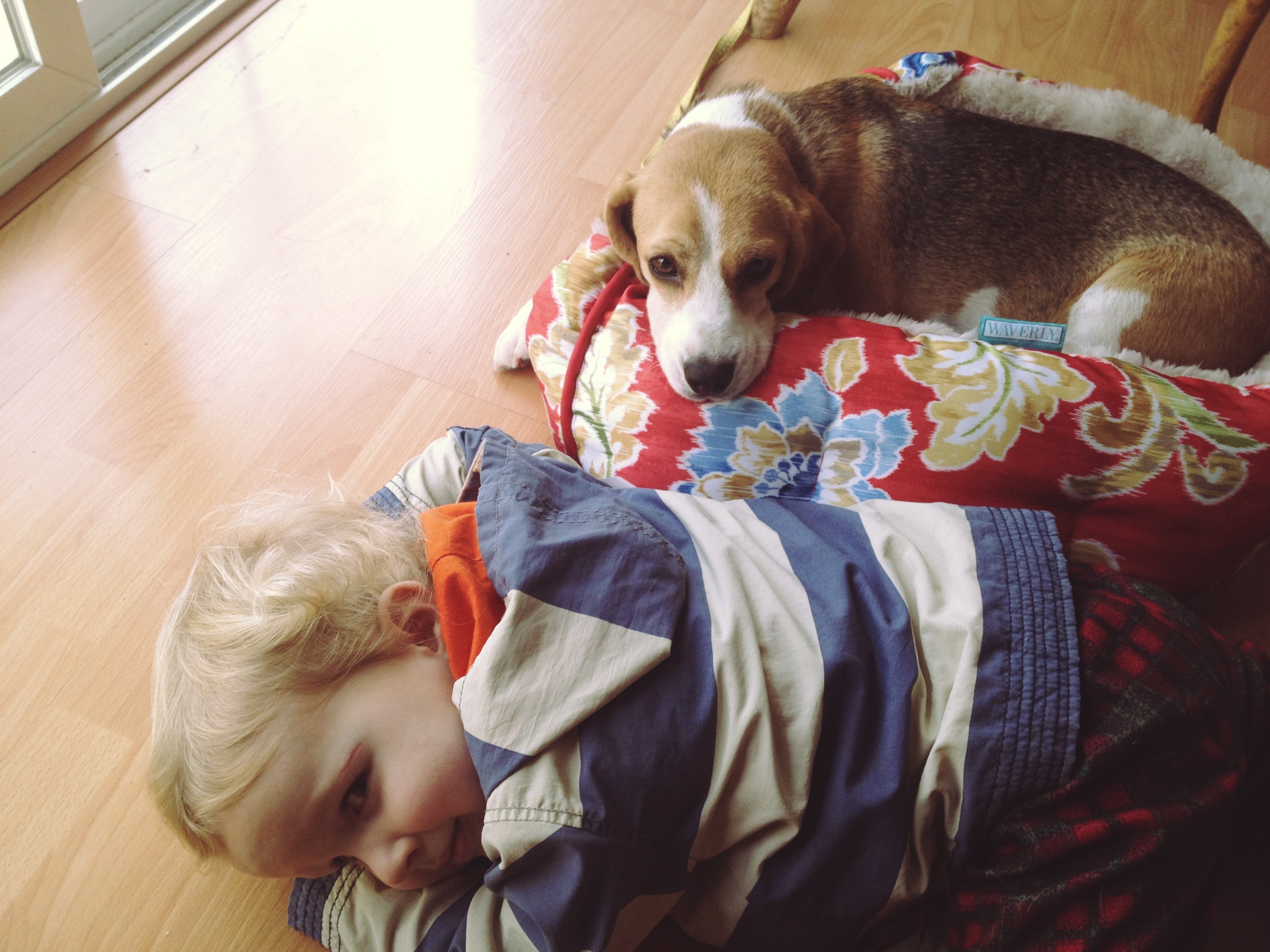photo 4 (1)