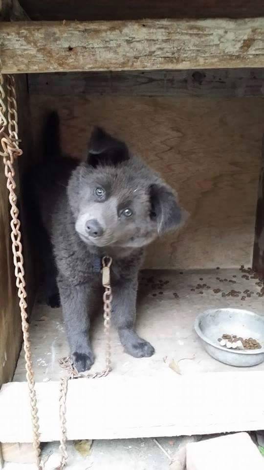 11026687_876821292382881_1701781866_n