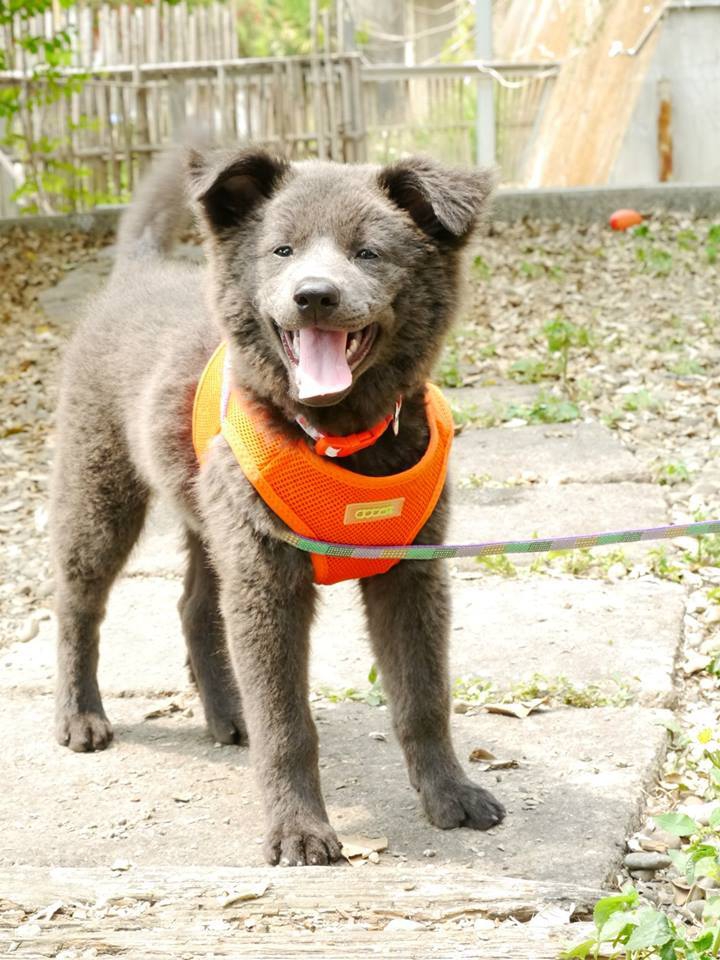 11072658_878791855519158_1830074021_n