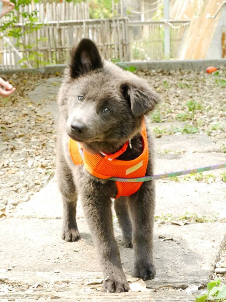 11086657_878791915519152_576199852_n