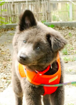 Screen Shot 2015-03-26 at 12.46.57 AM