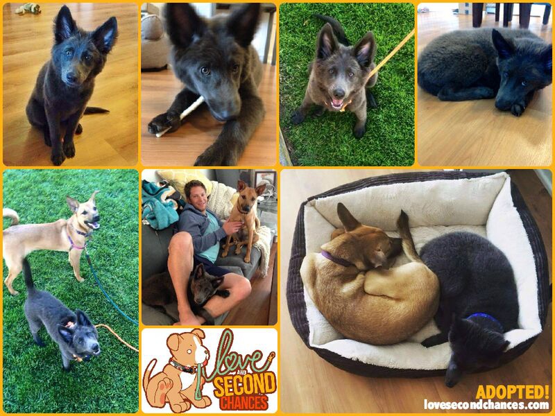 gR9BrIH2z9NySjRuB0aed6QtNerlDbxwE6o355eWIA0